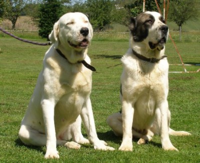 parents together