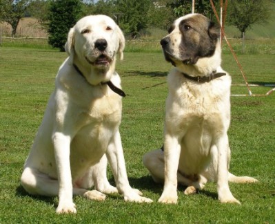 parents together
